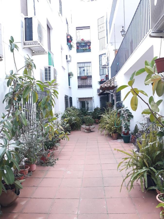 קורדובה Apartamento Pleno Centro Wallada מראה חיצוני תמונה